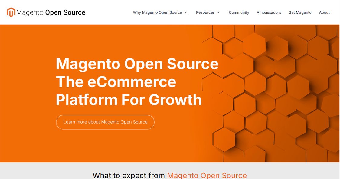 Magento.jpg